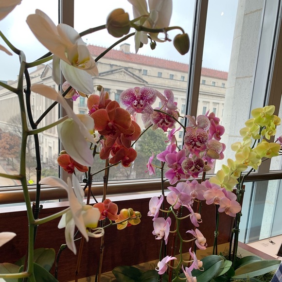 Meet your Posher, Laura - Picture 1 of 1